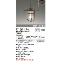 オーデリック　OP252413LD(ランプ別梱)　ペンダントライト 非調光 LEDランプ 電球色 簡易防雨型 鉄錆色