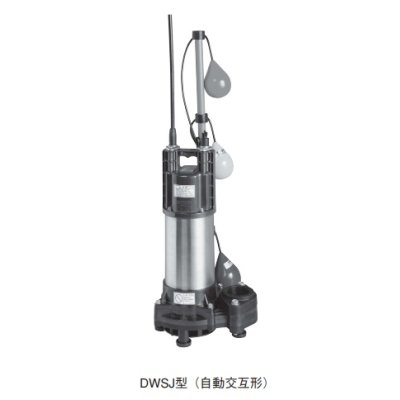 画像1: 荏原製作所　50DWSJ5.4B　樹脂製汚水・雑排水用水中ポンプ 三相 50Hz 自動交互形 ♪