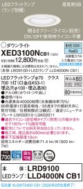 パナソニック　XED3100NCB1(ランプ別梱)　軒下用ダウンライト 天井埋込型 LED(昼白色) 防湿・防雨型 調光(ライコン別売) 埋込穴φ100 ホワイト
