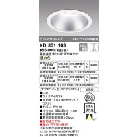 オーデリック　XD301103　ダウンライト 埋込穴φ250 電源装置・調光器・信号線別売 LED一体型 温白色 高天井用 防雨型 オフホワイト