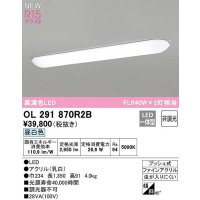 オーデリック　OL291870R2B　キッチンライト 非調光 LED一体型 昼白色