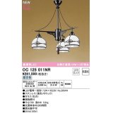 オーデリック　OC125011NR(ランプ別梱)　ペンダントライト 非調光 和風 LEDランプ 昼白色