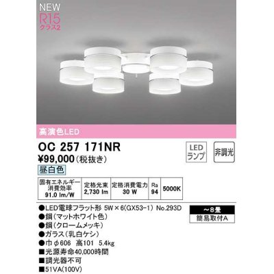 画像1: オーデリック　OC257171NR(ランプ別梱)　シャンデリア 8畳 非調光 LEDランプ 昼白色 マットホワイト