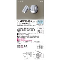 パナソニック　LGW40489LE1　スポットライト 壁直付型 LED(昼白色) 拡散タイプ 防雨型 パネル付型 シルバーメタリック