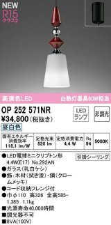 オーデリック　OP252571NR(ランプ別梱)　ペンダントライト 非調光 LEDランプ 昼白色 フレンジタイプ 拭き漆