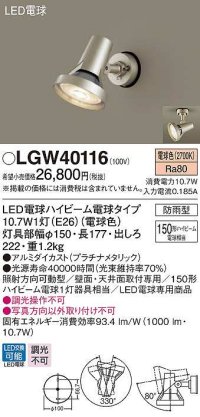 パナソニック　LGW40116　エクステリア スポットライト ランプ同梱 LED(電球色) 天井直付型 壁直付型 電球交換型 防雨型 プラチナメタリック