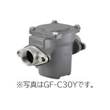 日立 ポンプ　GF-C30Y　砂こし器 配管口径30mm 鋳鉄製 ※GF-C30X後継品