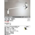 オーデリック　OG254198P1　エクステリア スポットライト ランプ別売 LEDランプ 防雨型 オフホワイト