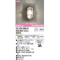 オーデリック　OG254606LR(ランプ別梱)　ブラケットライト 非調光 LEDランプ 電球色 防雨型 鉄錆色