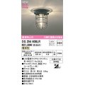 オーデリック　OG254608LR(ランプ別梱)　ブラケットライト 非調光 LEDランプ 電球色 防雨型 チャコールグレー