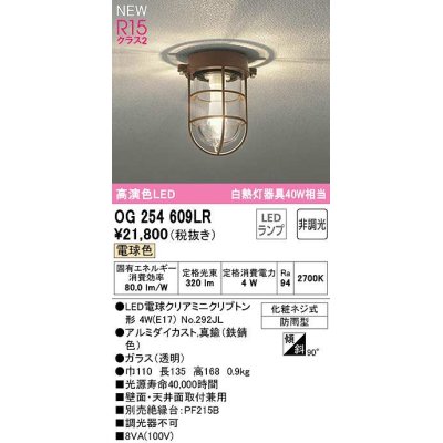 画像1: オーデリック　OG254609LR(ランプ別梱)　ブラケットライト 非調光 LEDランプ 電球色 防雨型 鉄錆色