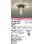 画像1: オーデリック　OG254609LR(ランプ別梱)　ブラケットライト 非調光 LEDランプ 電球色 防雨型 鉄錆色 (1)