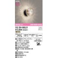オーデリック　OG254693LR(ランプ別梱)　エクステリア ポーチライト LEDランプ 電球色 防雨・防湿型