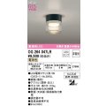 オーデリック　OG264047LR(ランプ別梱)　エクステリア ポーチライト 非調光 LEDランプ 電球色 防雨・防湿型 黒色