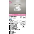 オーデリック　OG264048NR(ランプ別梱)　エクステリア ポーチライト 非調光 LEDランプ 昼白色 防雨・防湿型 オフホワイト