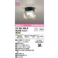 オーデリック　OG264049LR(ランプ別梱)　エクステリア ポーチライト 非調光 LEDランプ 電球色 防雨・防湿型 黒色