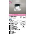 オーデリック　OG264049NR(ランプ別梱)　エクステリア ポーチライト 非調光 LEDランプ 昼白色 防雨・防湿型 黒色