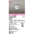 オーデリック　OG264064NR(ランプ別梱)　エクステリア ポーチライト LEDランプ 昼白色 防雨型 マットシルバー