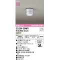 オーデリック　OG264064WR(ランプ別梱)　エクステリア ポーチライト LEDランプ 温白色 防雨型 マットシルバー