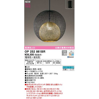 画像1: オーデリック　OP252861BR　ペンダントライト 調光 調色 Bluetooth コントローラー別売 LED一体型 電球色〜昼光色 フレンジタイプ 黒色