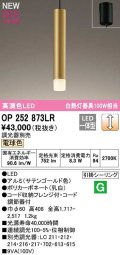 オーデリック　OP252873LR　ペンダントライト 調光 調光器別売 LED一体型 電球色 フレンジタイプ サテンゴールド色