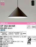 オーデリック　OP252891NR(ランプ別梱)　ペンダントライト 非調光 LEDランプ 昼白色 フレンジタイプ マットブラック