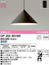 オーデリック　OP252891NR(ランプ別梱)　ペンダントライト 非調光 LEDランプ 昼白色 フレンジタイプ マットブラック