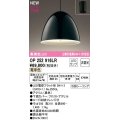 オーデリック　OP252916LR(ランプ別梱)　ペンダントライト 非調光 LEDランプ 電球色 フレンジタイプ 黒色