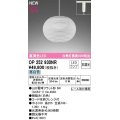 オーデリック　OP252930NR(ランプ別梱)　ペンダントライト 非調光 和風 LEDランプ 昼白色 プラグタイプ 白色
