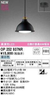 オーデリック　OP252937NR(ランプ別梱)　ペンダントライト 非調光 LEDランプ 昼白色 フレンジタイプ 黒色