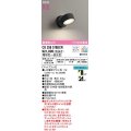 オーデリック　OS256578BCR(ランプ別梱)　スポットライト 調光 調色 Bluetooth コントローラー別売 LEDランプ 電球色〜昼光色 マットブラック
