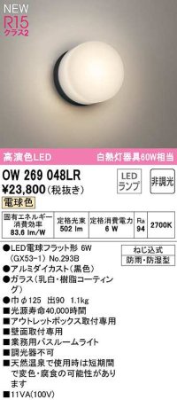 オーデリック　OW269048LR(ランプ別梱)　バスルームライト 非調光 LEDランプ 電球色 防雨・防湿型 黒色
