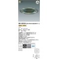 コイズミ照明　WU49339L　アウトドアライト 非調光 LED一体型 電球色 防雨型 受注生産品 [§]