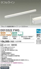 大光電機(DAIKO) DSY-5522FWG 間接照明 ダブルライン L=1200mm 楽調(調光器別売) 電球色 温白色 LED・電源内蔵 プルレス 色温度切替 白