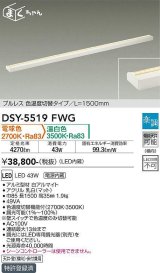 大光電機(DAIKO) DSY-5519FWG 間接照明 まくちゃん L=1500mm 楽調(調光器別売) 電球色 温白色 LED・電源内蔵 プルレス 色温度切替 白