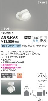 コイズミ照明 AB54965 スポットライト 非調光 LED 昼白色 直付・壁付取付 フランジ 散光 ファインホワイト