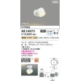 コイズミ照明 AB54975 スポットライト 非調光 LED 電球色 直付・壁付取付 フランジ 散光 ファインホワイト