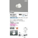 コイズミ照明 AB54977 スポットライト 非調光 LED 昼白色 直付・壁付取付 フランジ 散光 ファインホワイト