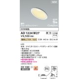 コイズミ照明 AD1224W27 ダウンライト 埋込穴φ100 調光 調光器別売 LED一体型 電球色 高気密SB形 傾斜・ウォールウォッシャー 防雨・防湿型 パウダリーホワイト