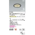 コイズミ照明 AD1226B35 ダウンライト 埋込穴φ100 調光 調光器別売 LED一体型 温白色 高気密SB形 ベース 拡散 防雨・防湿型 マットブラック