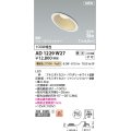 コイズミ照明 AD1229W27 ダウンライト 埋込穴φ100 調光 調光器別売 LED一体型 電球色 高気密SB形 傾斜・ウォールウォッシャー 防雨・防湿型 パウダリーホワイト
