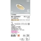 コイズミ照明 AD1229W27 ダウンライト 埋込穴φ100 調光 調光器別売 LED一体型 電球色 高気密SB形 傾斜・ウォールウォッシャー 防雨・防湿型 パウダリーホワイト