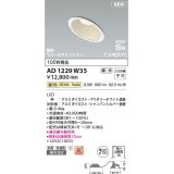 コイズミ照明 AD1229W35 ダウンライト 埋込穴φ100 調光 調光器別売 LED一体型 温白色 高気密SB形 傾斜・ウォールウォッシャー 防雨・防湿型 パウダリーホワイト