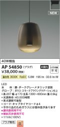 コイズミ照明 AP54850 ペンダント 非調光 LED一体型 温白色 プラグタイプ スモークブラウングラデーション