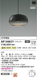 コイズミ照明 AP54857 ペンダント 非調光 LED一体型 温白色 フランジタイプ スモークグレーグラデーション