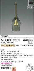 コイズミ照明 AP54881 ペンダント 非調光 LED一体型 電球色 フランジタイプ 金色メッキ