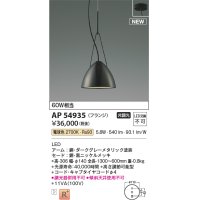 コイズミ照明 AP54935 ペンダント 非調光 LED一体型 電球色 フランジタイプ 黒ニッケルメッキ