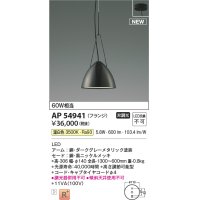 コイズミ照明 AP54941 ペンダント 非調光 LED一体型 温白色 フランジタイプ 黒ニッケルメッキ