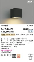コイズミ照明 AU54489 ブラケット 非調光 LED 電球色 下方照射 防雨型 サテンブラック