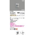コイズミ照明 AU54570 スポットライト 非調光 LED一体型 電球色 中角 防雨型 サテンシルバー